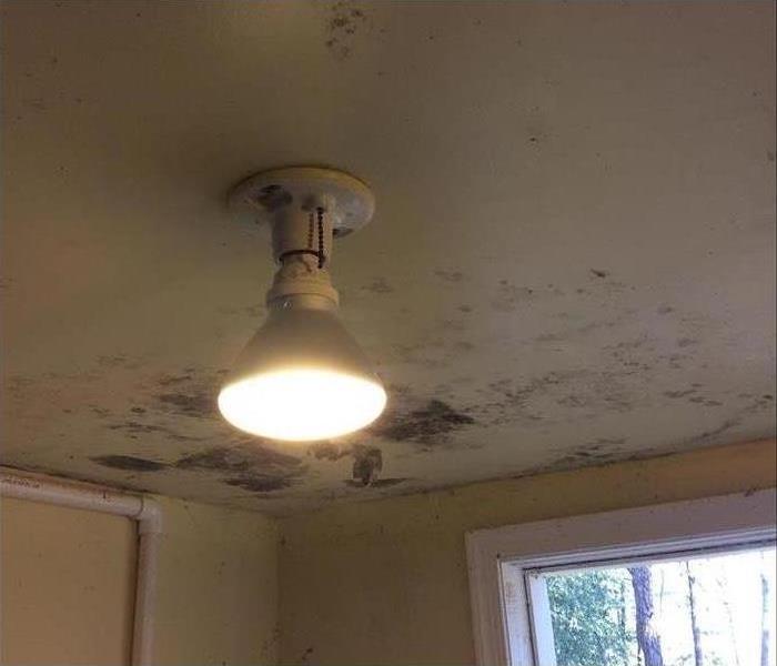 mold spots on ceiling by light