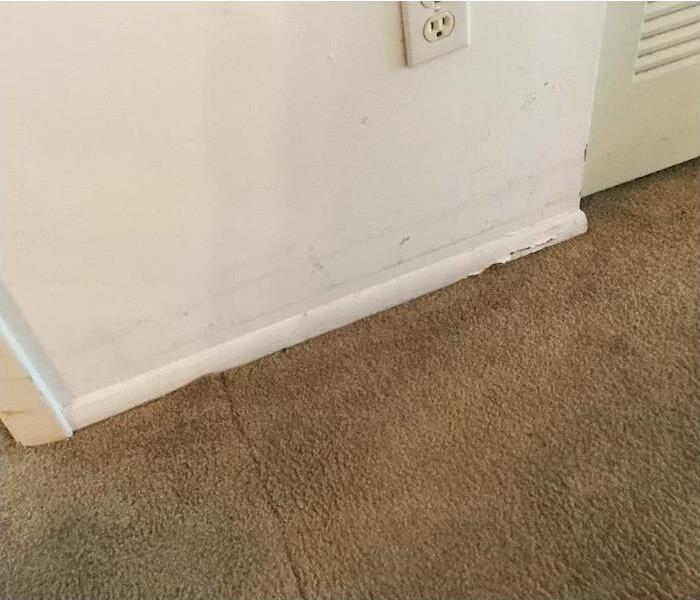 cracked paint on trim, seam visible on carpet, water stained wall