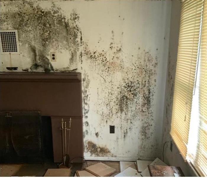 ceiling tiles on floor, mold growth on the walls by fireplace