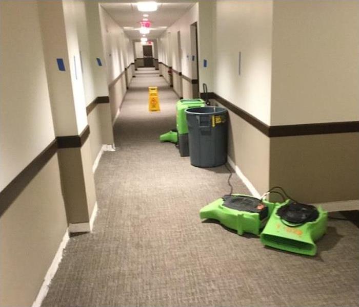 equipment placed in carpeted hallway of a hotel