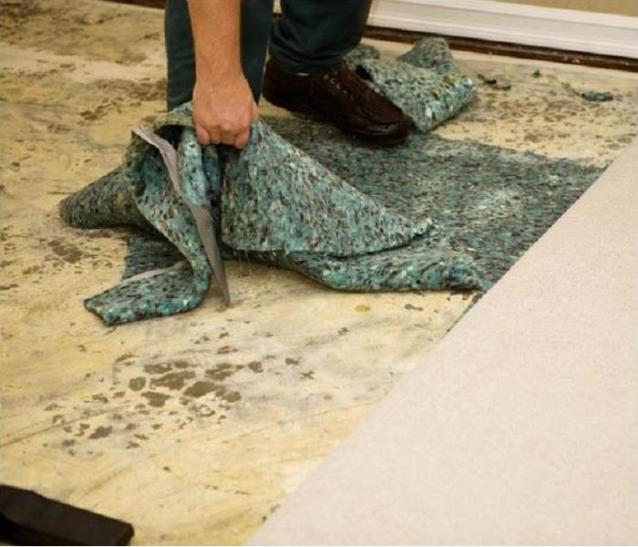 Person pulling up water damaged carpet padding.