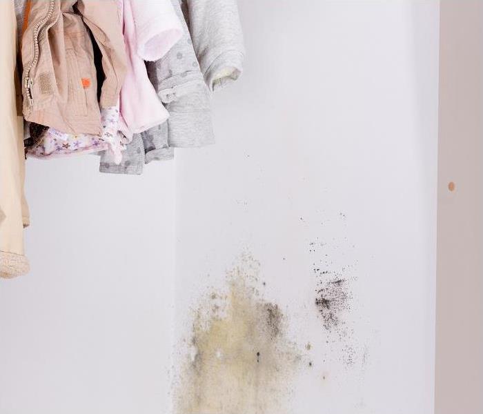 Mold growing on wall inside children’s closet