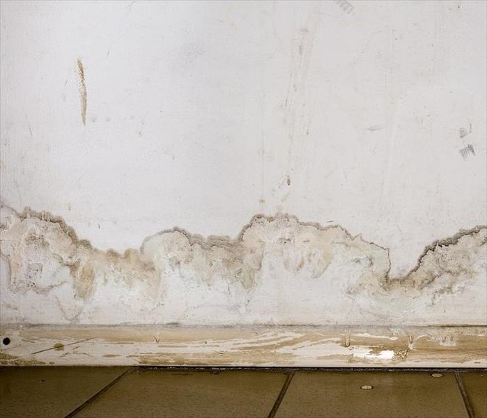 Water stains on drywall and baseboard