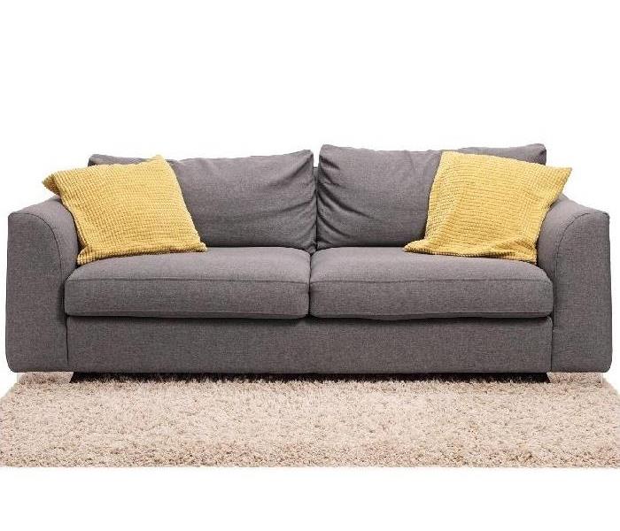 Gray sofa with gold pillows on taupe shag rug